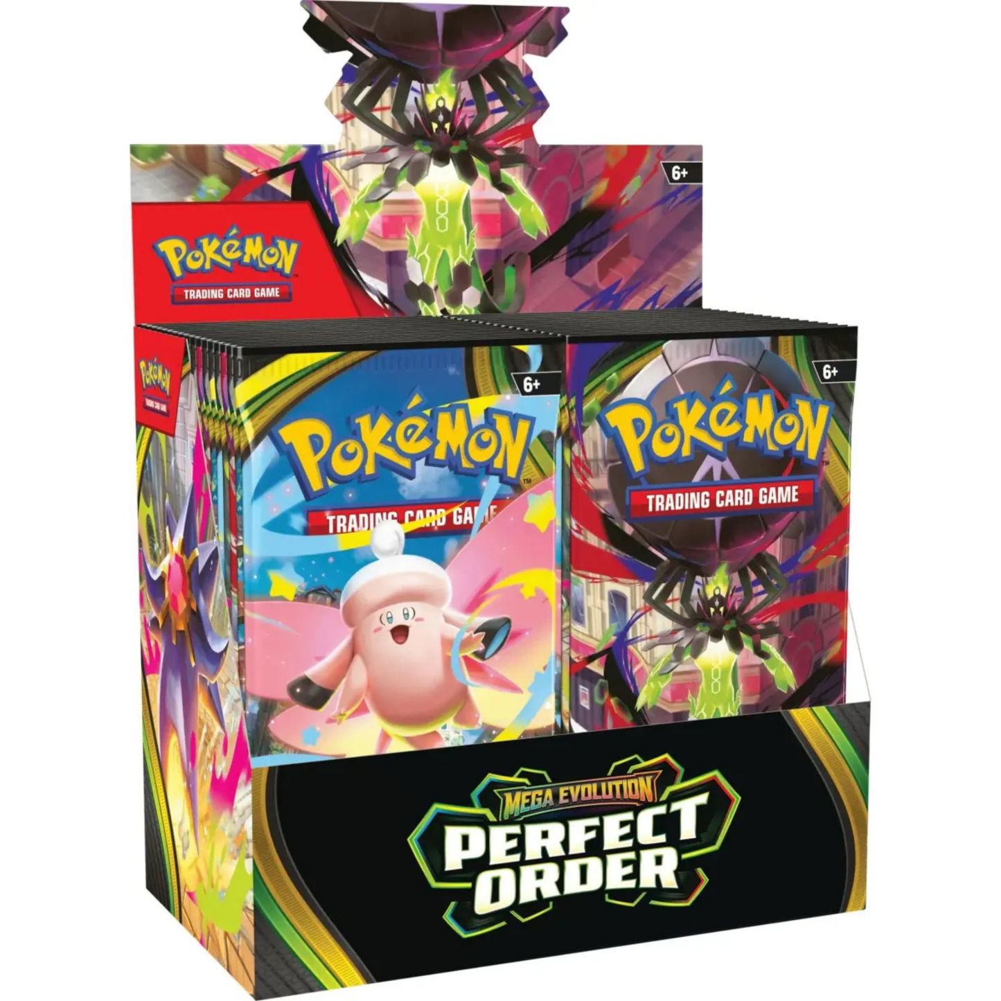 Pokémon / Optimale Ordnung / 36er Display / Englisch