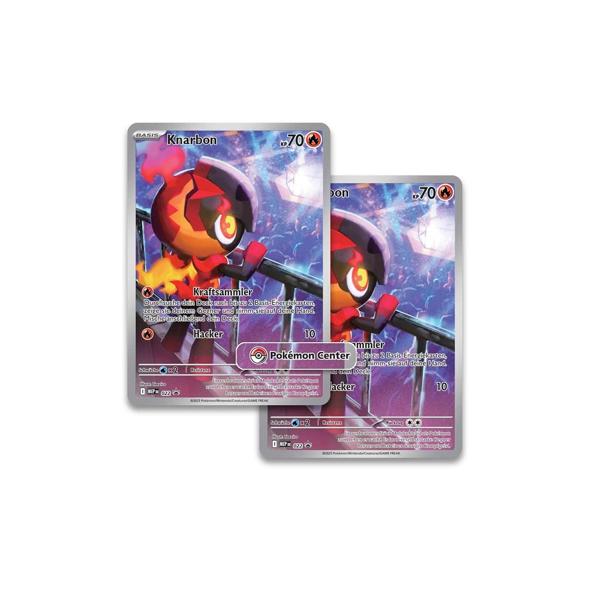Pokémon / Fatale Flammen / Pokémon Center Top Trainer Box / TTB / Deutsch